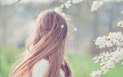 Almond Trees in Bloom | Legend and Poem