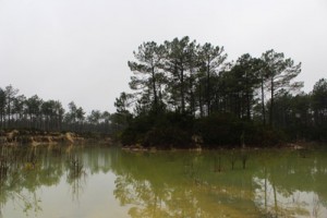 Lagoa-da-Sabreira_Pinhal-do-Rei_My-Own-Portugal2