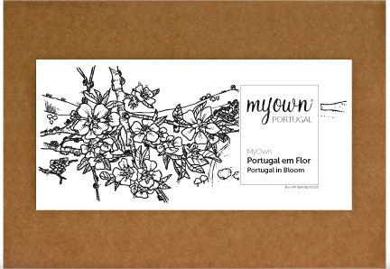 Box Portugal em Flores